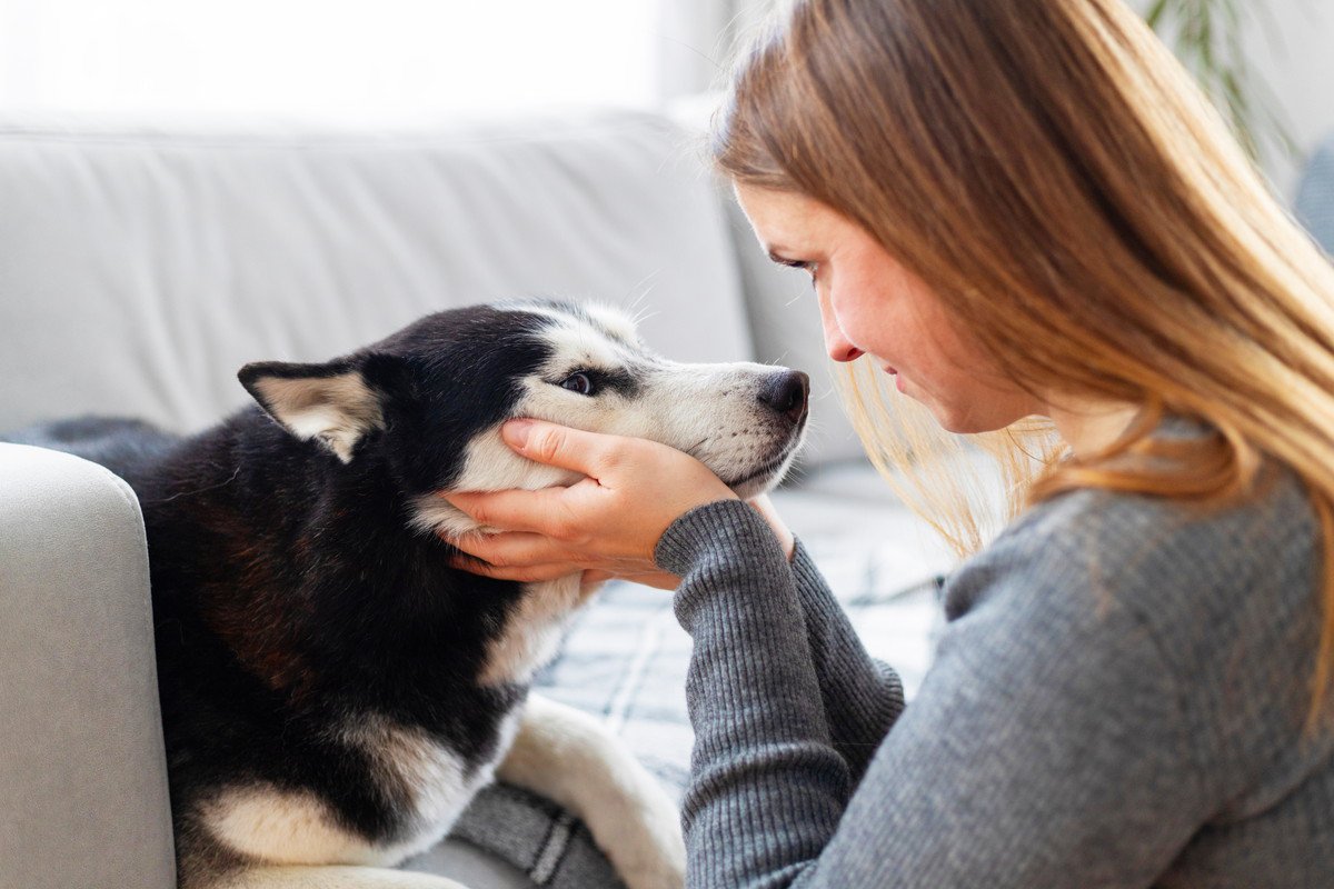 犬の目を『見つめ続けてはいけない』理由3つ　視線が持つ意味から注意すべきことまで