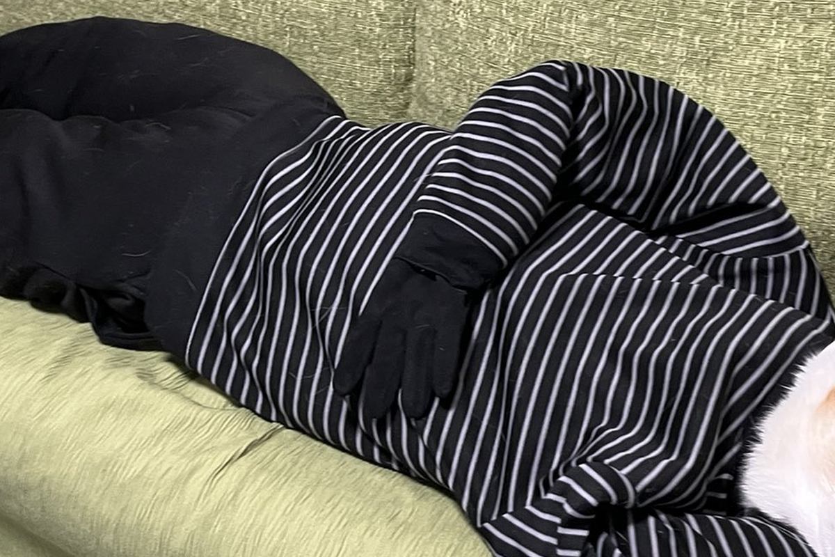 『あんなに小さかった犬が…』まさかの人間サイズに？シュールで可愛らしい光景に3万いいね「ほんと大人になってｗｗ」「でけえ…！」と反響