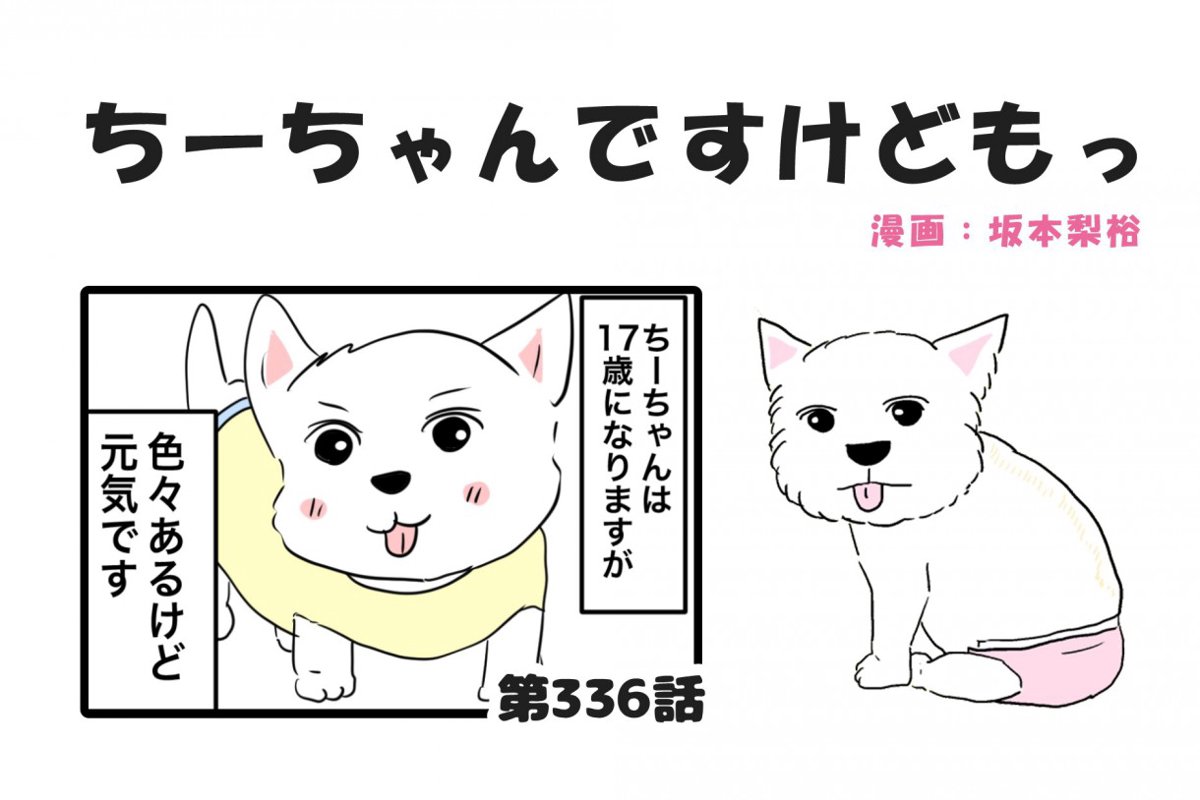 ちーちゃんですけどもっ【第336話】「ちーちゃんの元気な訳」