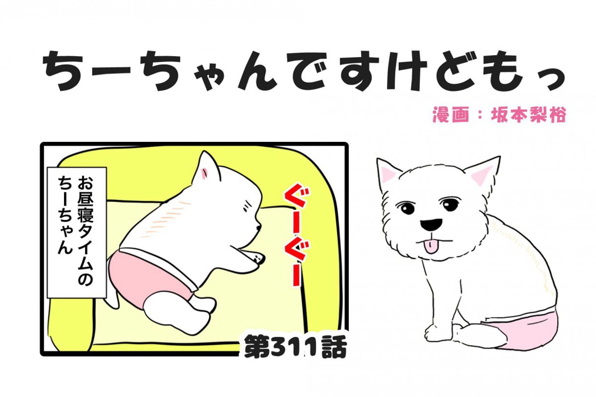 ちーちゃんですけどもっ【第311話】「季節を感じる寝方」