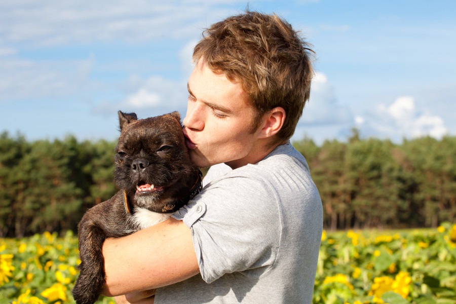 愛犬にキスを拒否されてしまう3つの理由