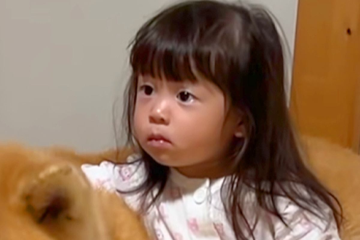 秋田犬をお迎えして、たったの4日後→娘が打ち解けすぎて…出会ったばかりと思えない『まさかの光景』が93万再生「馴染んでて草」「相棒感ｗ」