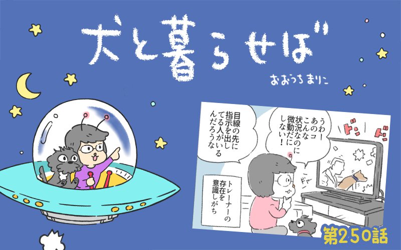 犬と暮らせば【第250話】「犬飼いの映画鑑賞」