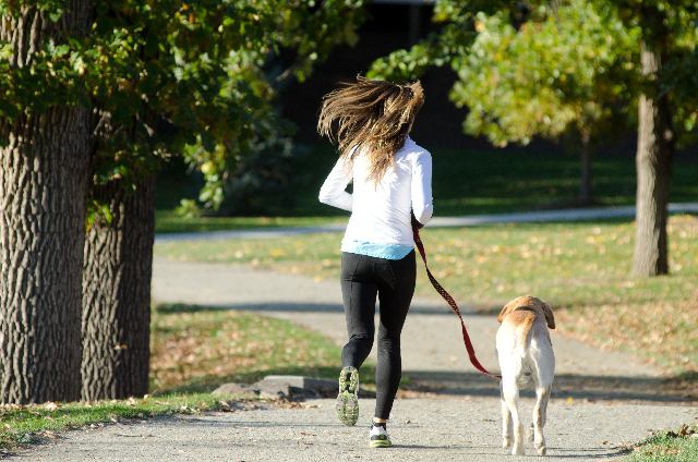 愛犬家集まれ！犬に優しい私の街自慢