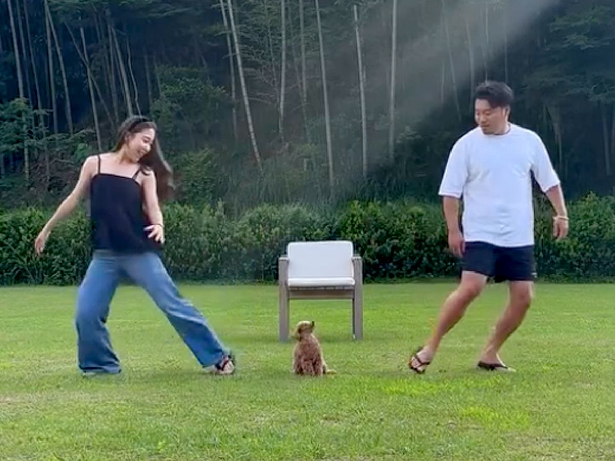 『パパとママが逆方向に走ったら、犬はどちらについてくるのか？』を検証→切なすぎる結果と『まさかの展開』が250万再生「全員可愛い」と反響