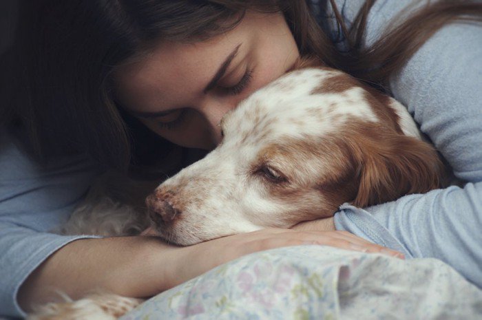【獣医師監修】犬のうつ病とは？心の病気の原因、症状から対処法まで徹底解説