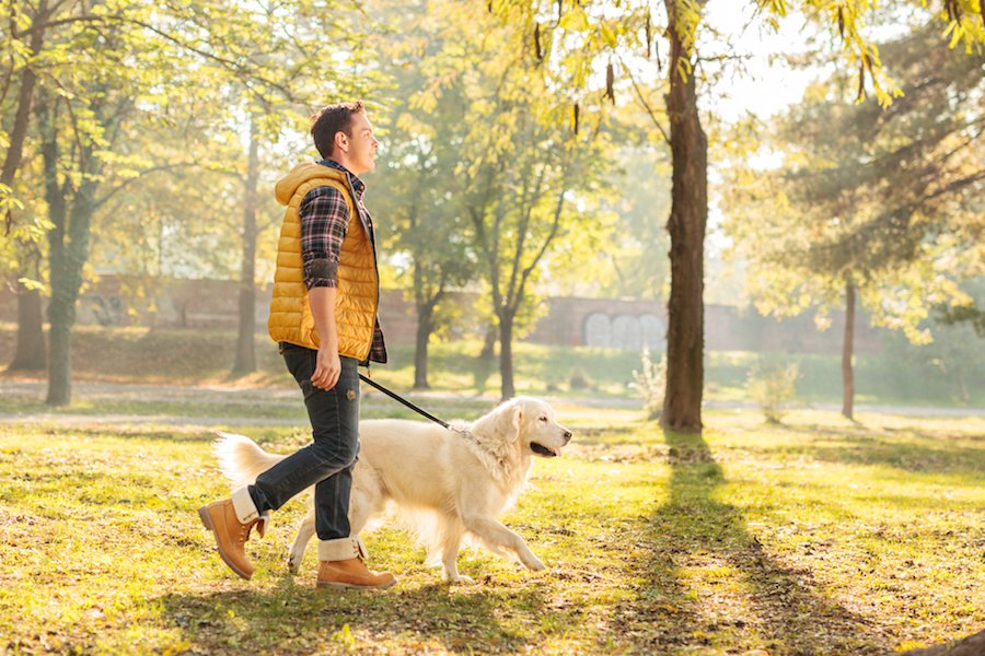 犬の散歩で飼い主はどんな服装で行けばいい？