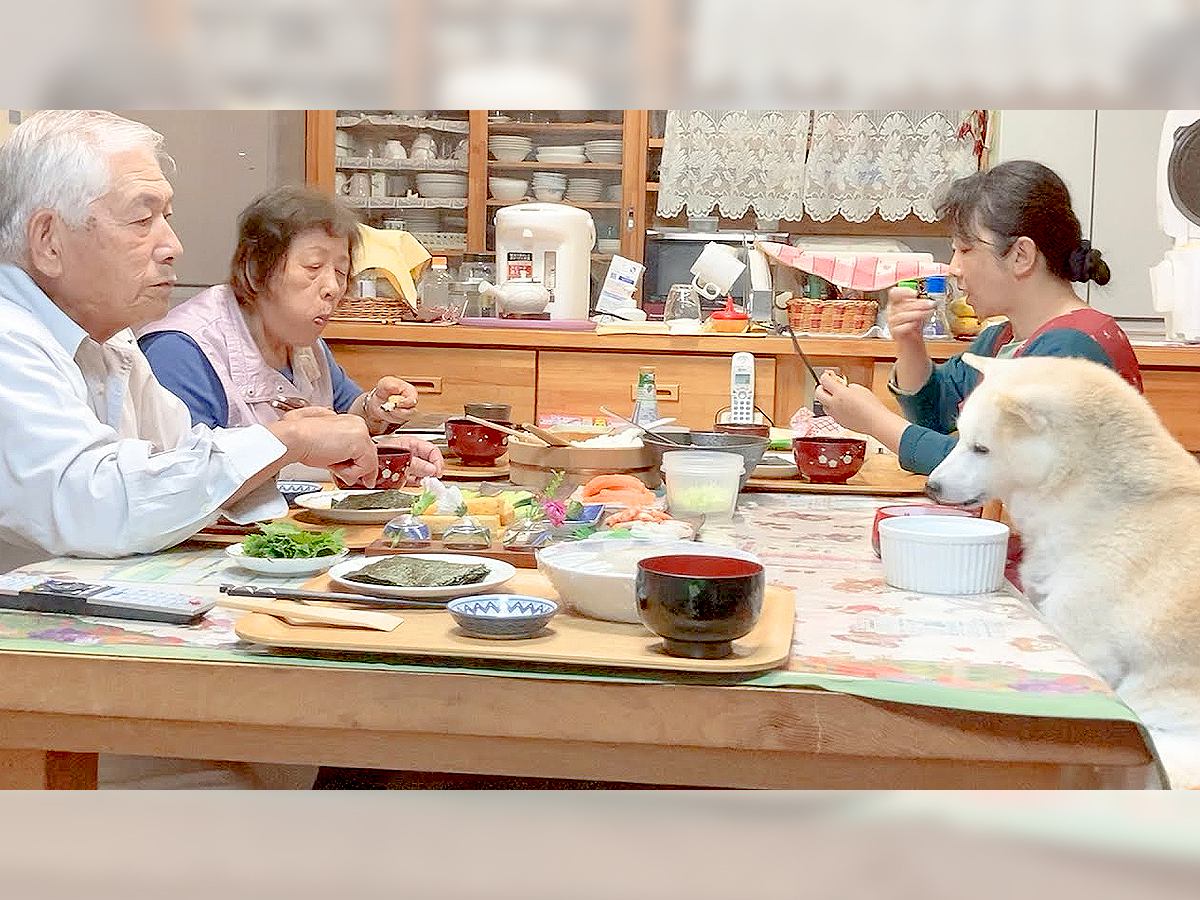 犬が『家族みんなと一緒に食卓を囲む』光景…全く違和感のない姿が75万再生「まるでドラマ」「幸せ家族すぎんだろ」と大絶賛の声