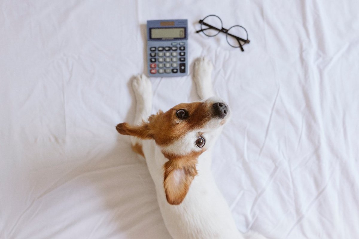 犬のためにつけている暖房、電気代は1日いくらかかる？つけっぱなしにしたらどれくらいなの？