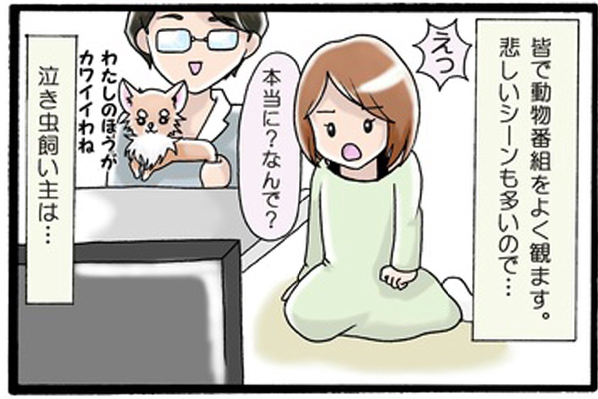 かわうそちわわ。（52） フィーユの必殺技