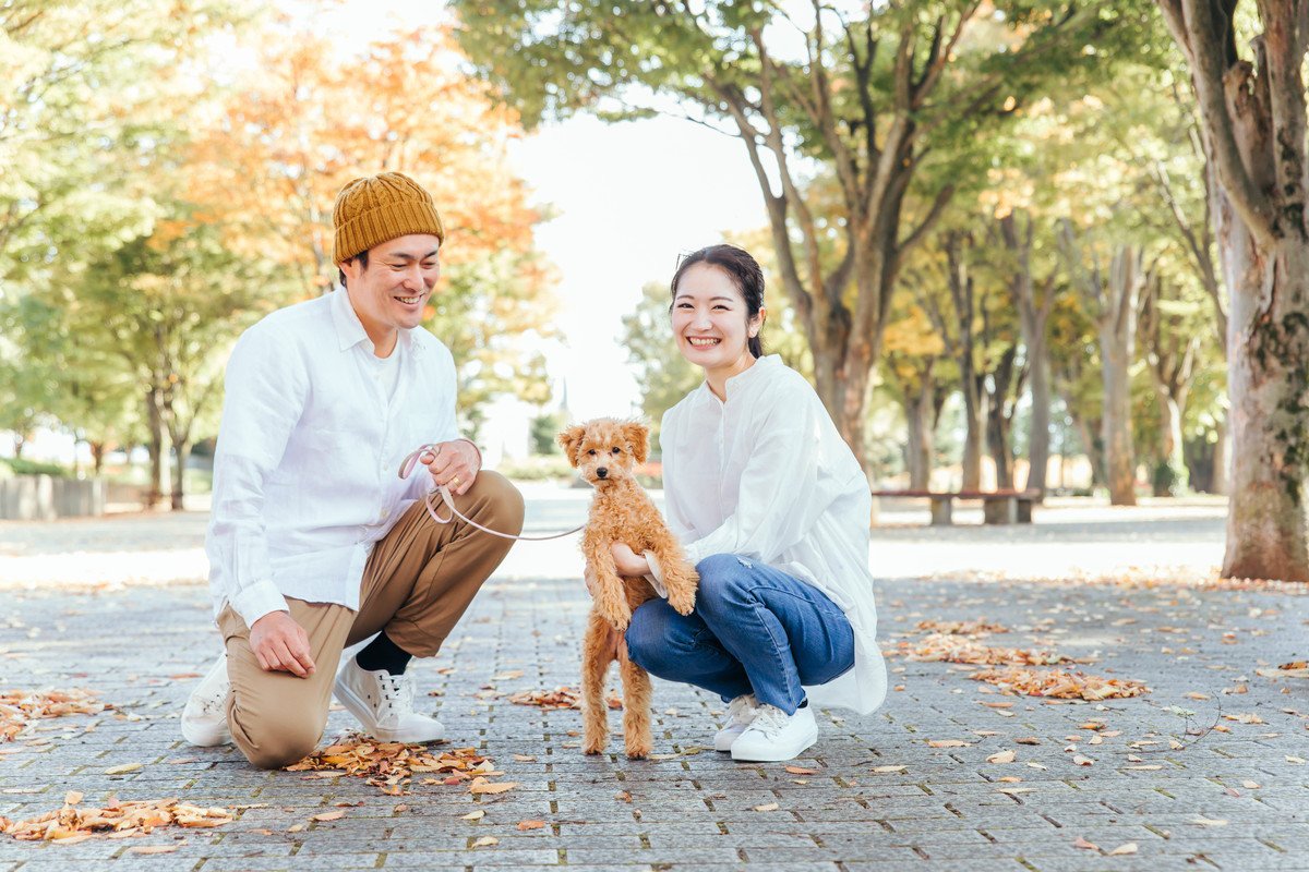 他人の犬に勝手に近づくのはマナー違反！相手の飼い主さんと犬も暮らしやすいように配慮しよう