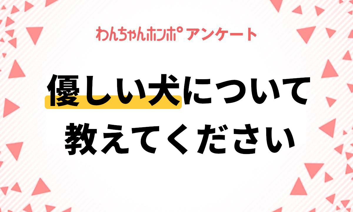 【アンケート実施中！】「優しい犬」に関するアンケート♪