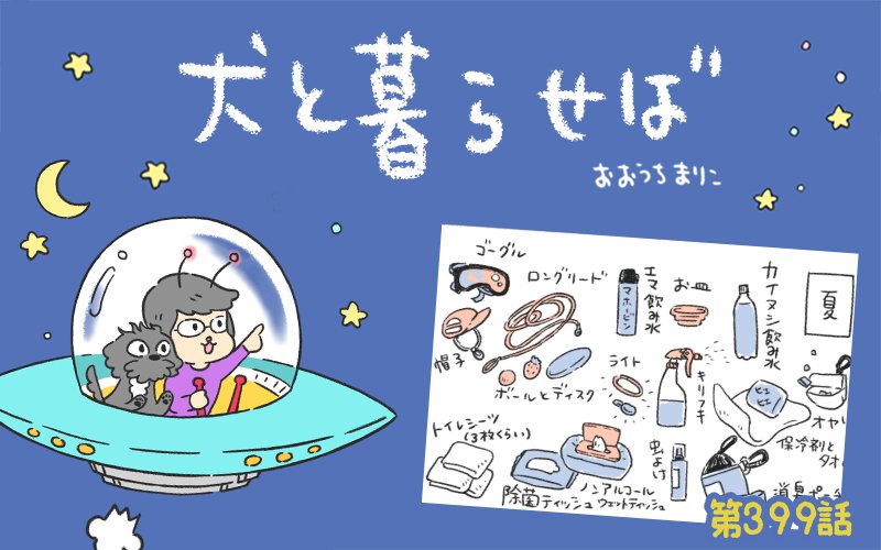 犬と暮らせば【第399話】「私の散歩道具」