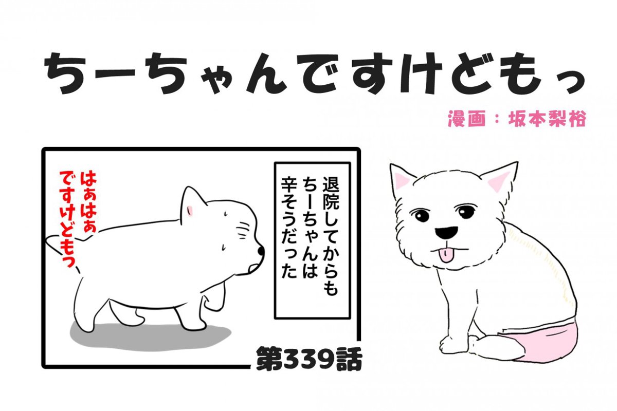 ちーちゃんですけどもっ【第339話】「購入した後に」