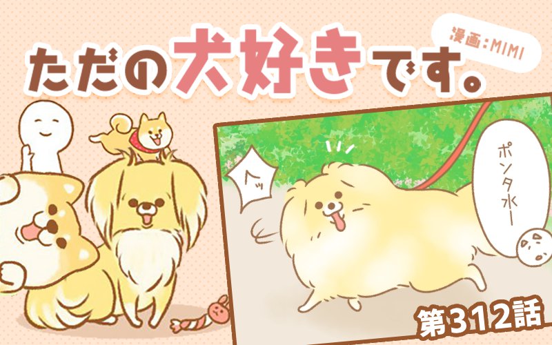 ただの犬好きです。【第312話】「態度で示す」