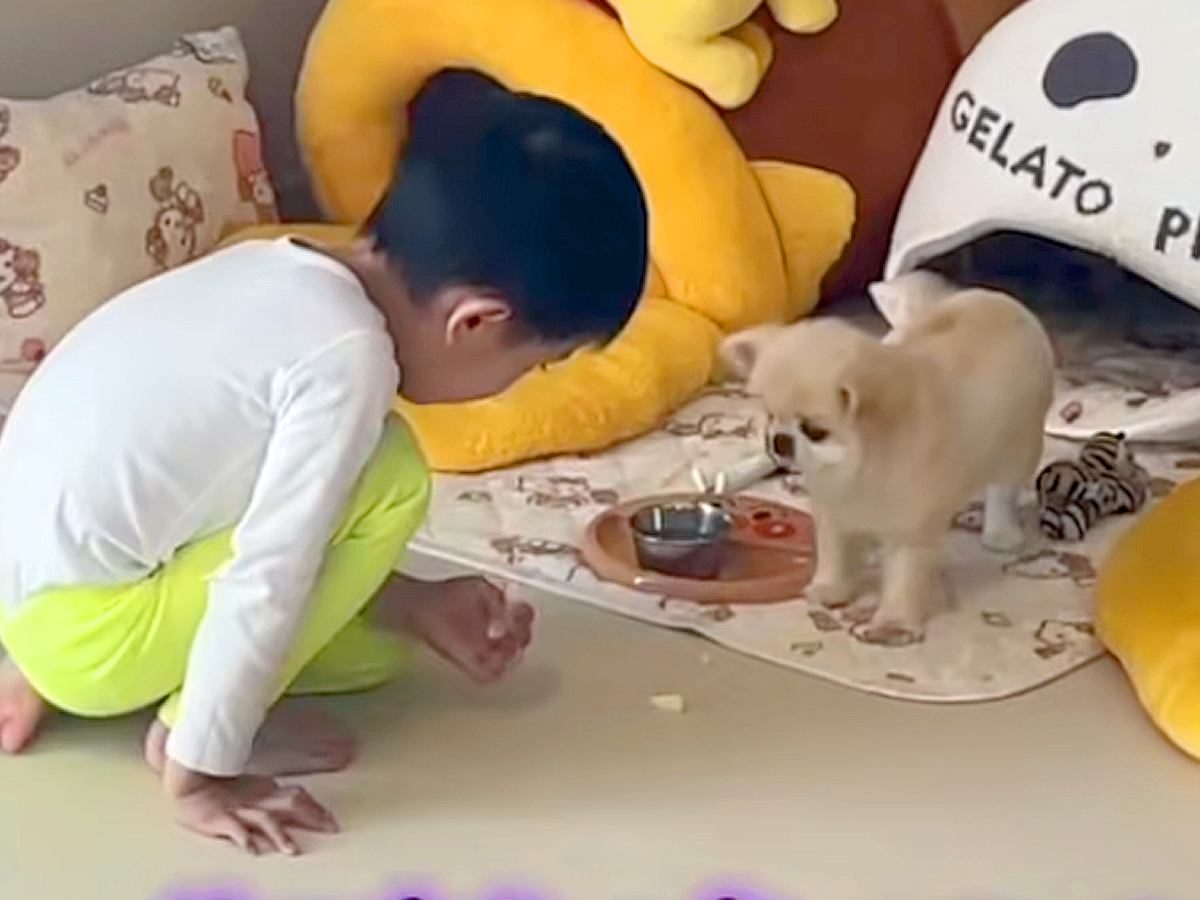 リンゴを食べている小さな男の子→犬に分けてあげようとしたら…とんでもなく尊い『素敵な展開』に反響「優しくて可愛い」「ほっこりした」
