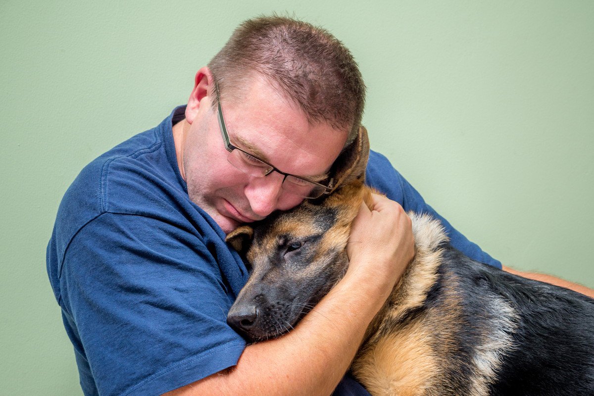 犬が飼い主を慰める4つの理由　悲しんでいるのが分かってる？慰めているときにする行動とは