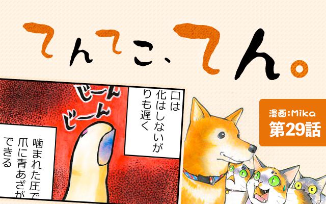 てんてこ、てん。【第29話】「てんのビロビロ事件簿③」