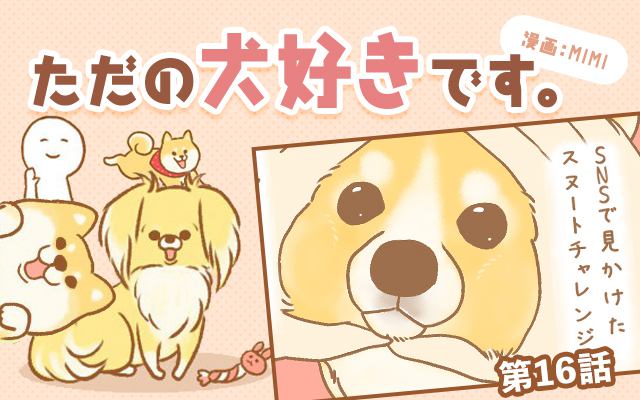 ただの犬好きです。【第16話】「きっとこうだ♪」