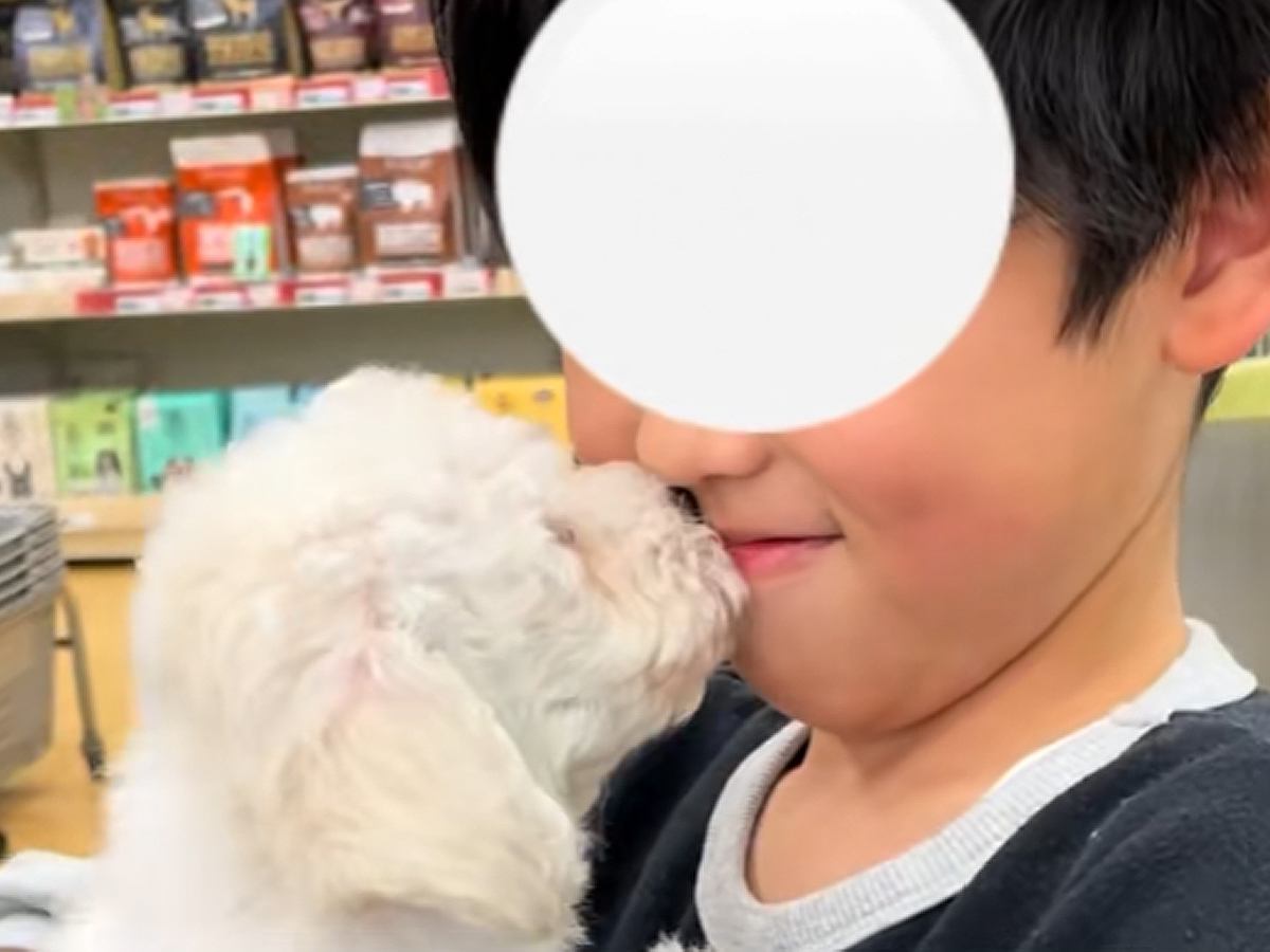 体調を崩し、小学校に行けなくなった10歳の男の子→犬を飼い始めた結果…『涙あふれる展開』に感動の声「最高の出会い」「大切な家族」