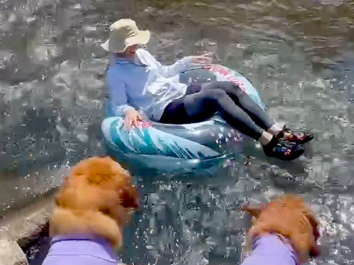 川で浮き輪に乗って流されてしまったら、気付いた大型犬が…イケメンすぎる『まさかの行動』に「素敵なボディーガード」「泣ける」と反響