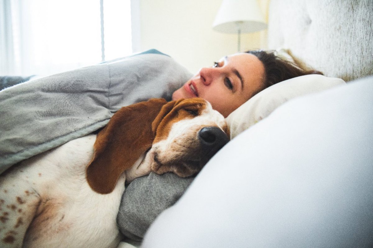 超カワイイ♡犬が飼い主を心配している時の行動5選