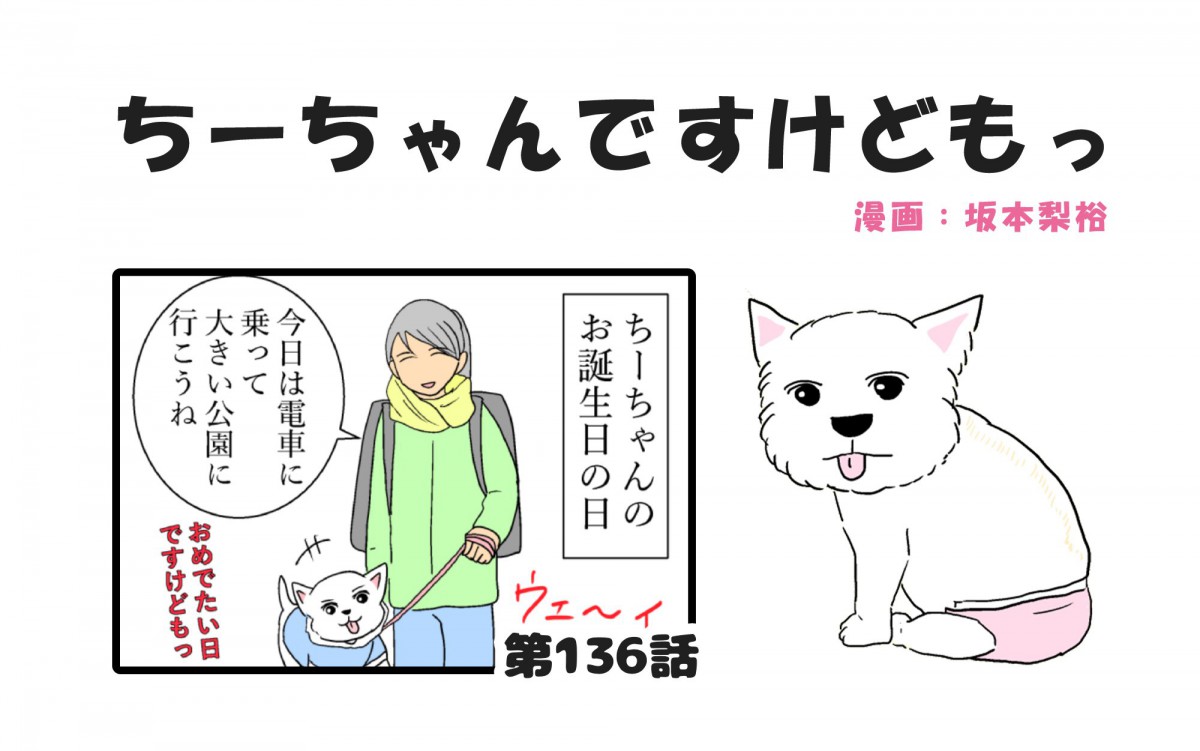 ちーちゃんですけどもっ【第136話】「誕生日に血尿が出た話①」 