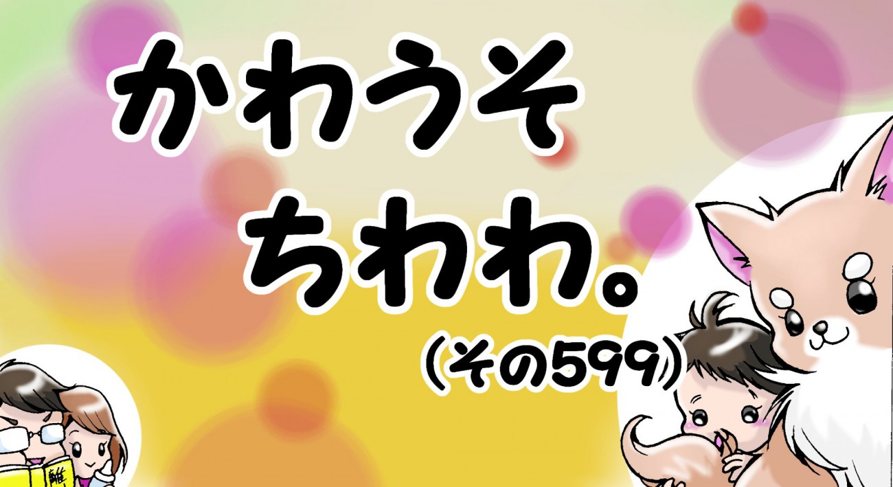 かわうそちわわ。【その599】「犬はお呼びじゃない」