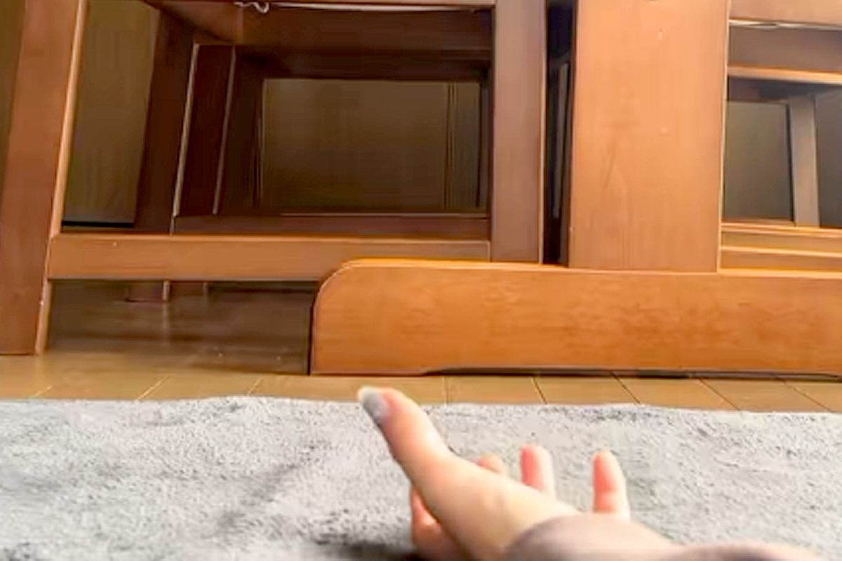 『おいで』と手を出すと、撫でてもらおうと近づいてくる犬→あまりにも『子熊すぎるビジュアル』が160万再生「もこもこ」「可愛すぎ泣きそう」