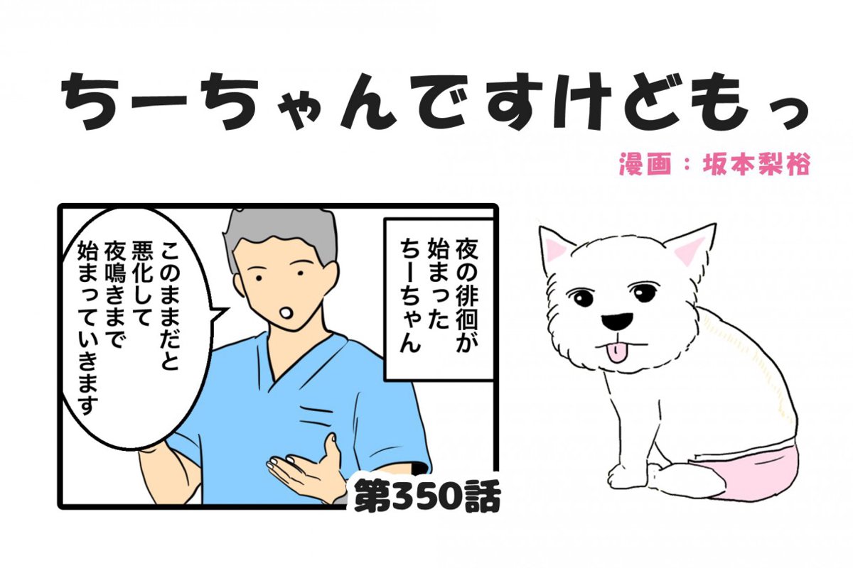 ちーちゃんですけどもっ【第350話】「人も犬も自立神経が大事」