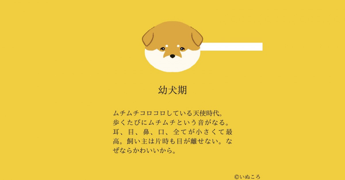 世代別『犬のかわいいところ』をまとめたイラストに共感の声続出！