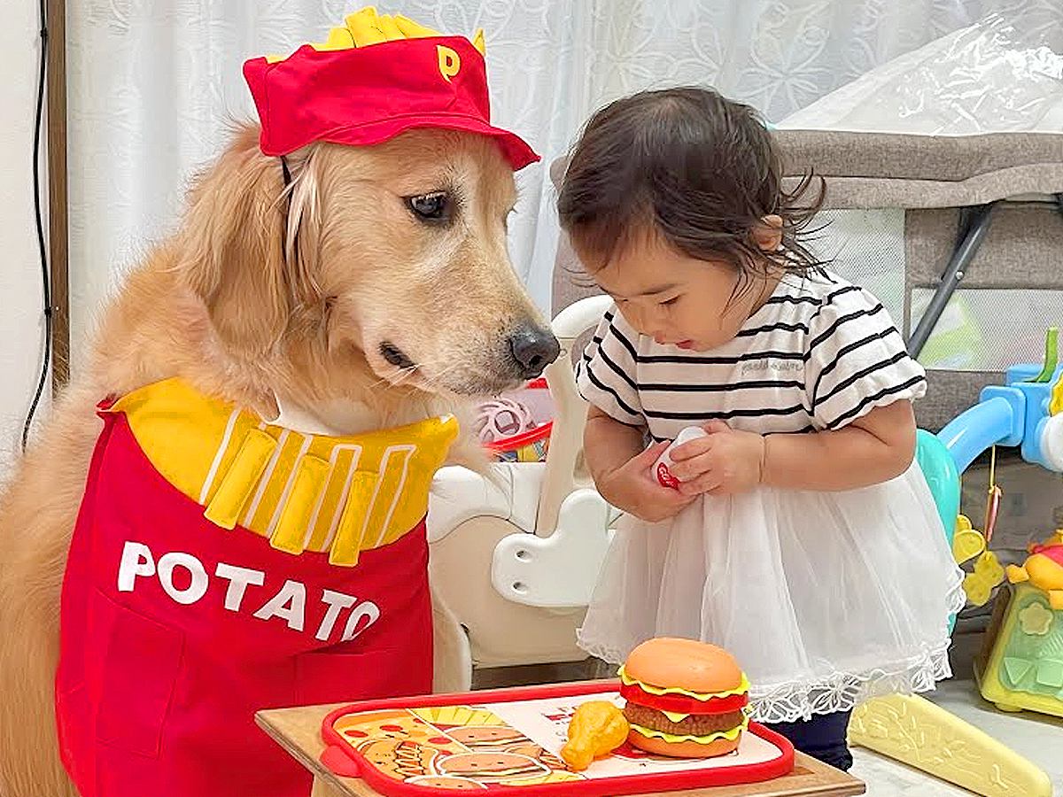 飲食店ごっこをする小さな女の子→犬が『店員さん役』に任命され…優しすぎる『まさかの対応』が46万再生「表情がｗ」「可愛いの大渋滞」と反響