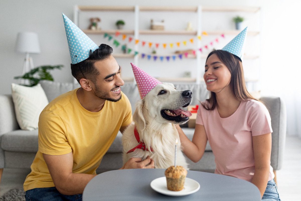 愛犬が喜んでくれる『誕生日のお祝い方法』５つ　特別な日だからこそ普段とは違ったお祝いをしてみよう