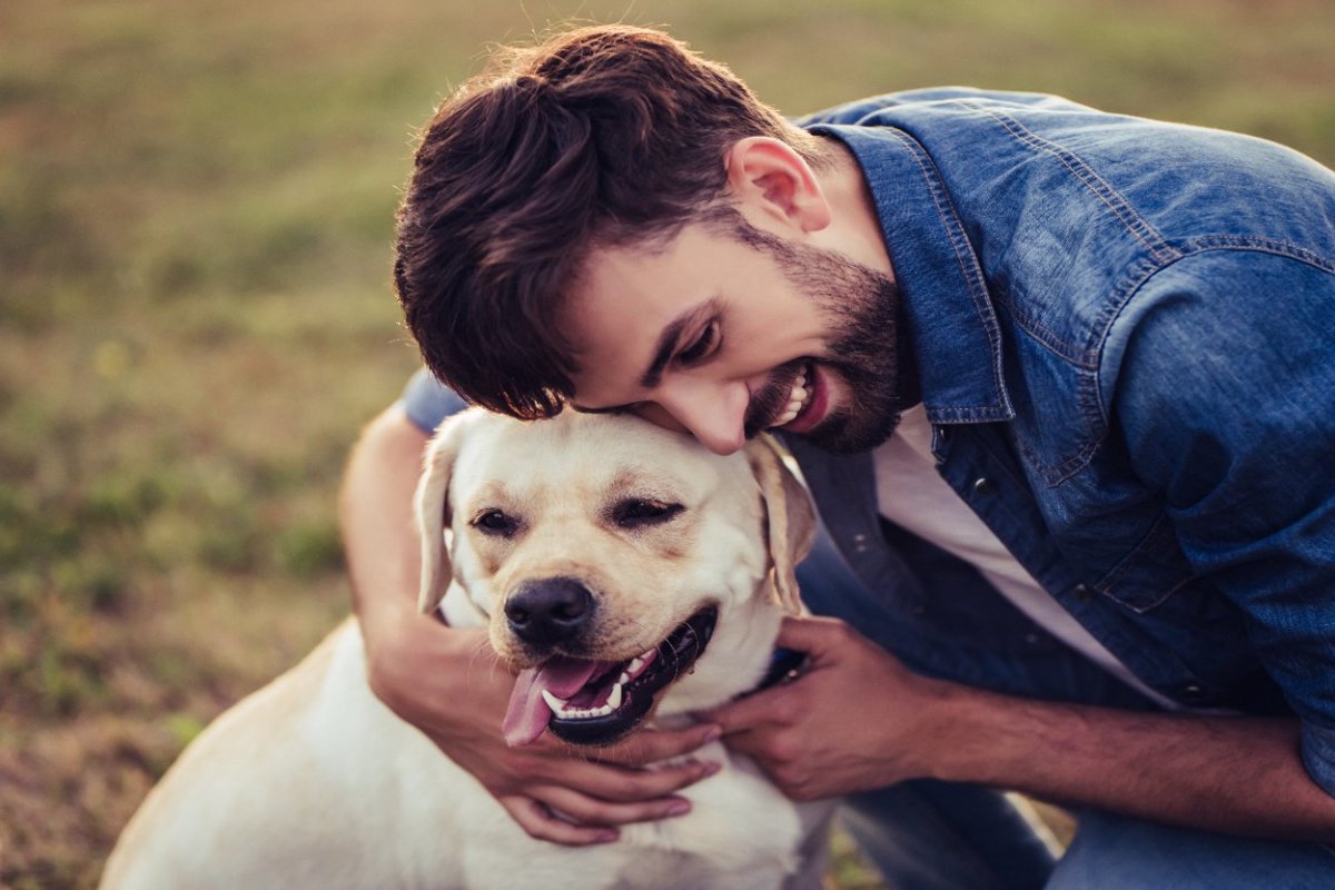 愛犬との触れ合いは気分を上げるという科学的な証拠【研究結果】