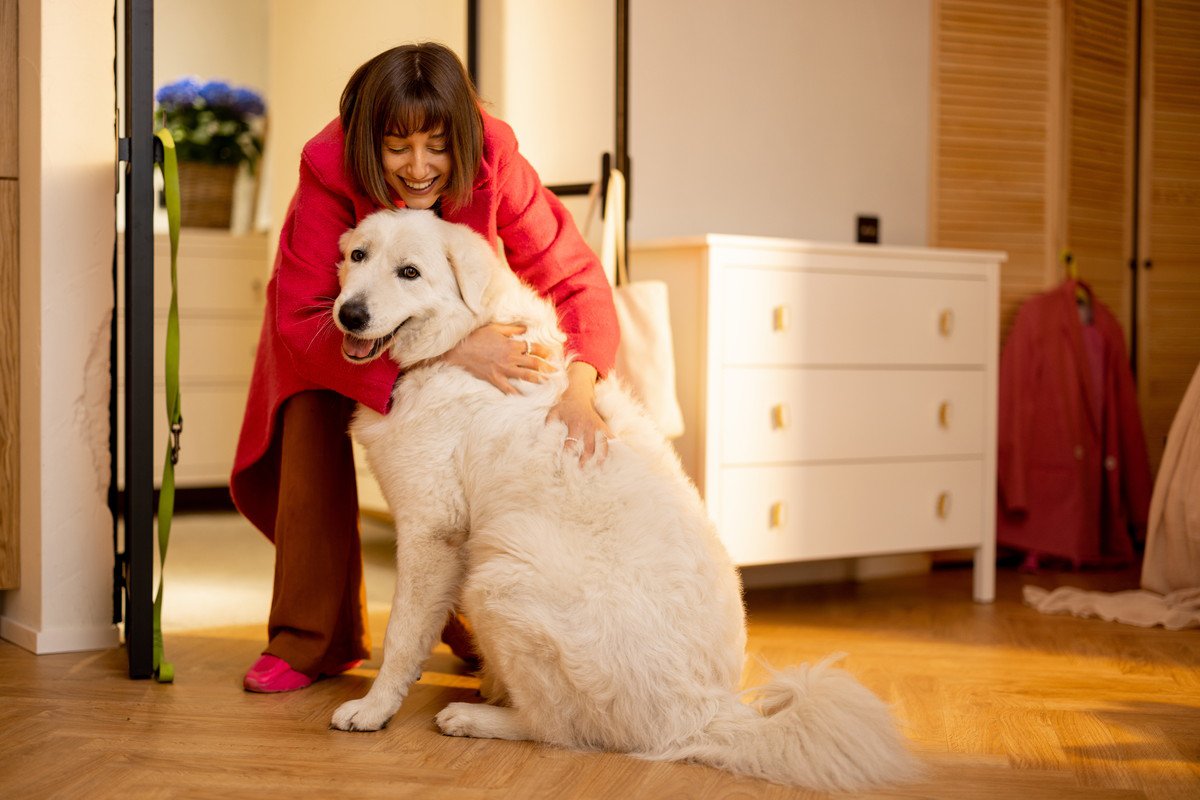 犬が『飼い主の帰宅を喜ぶ』理由とは？短時間のお留守番でも再会を嬉しがるのはなぜ？