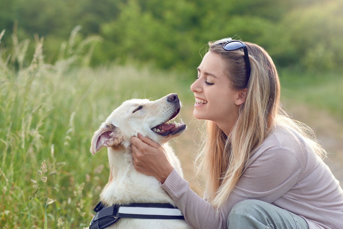 犬にとって「飼い主とのスキンシップ」はどれくらい大切？どんなメリットがあるの？