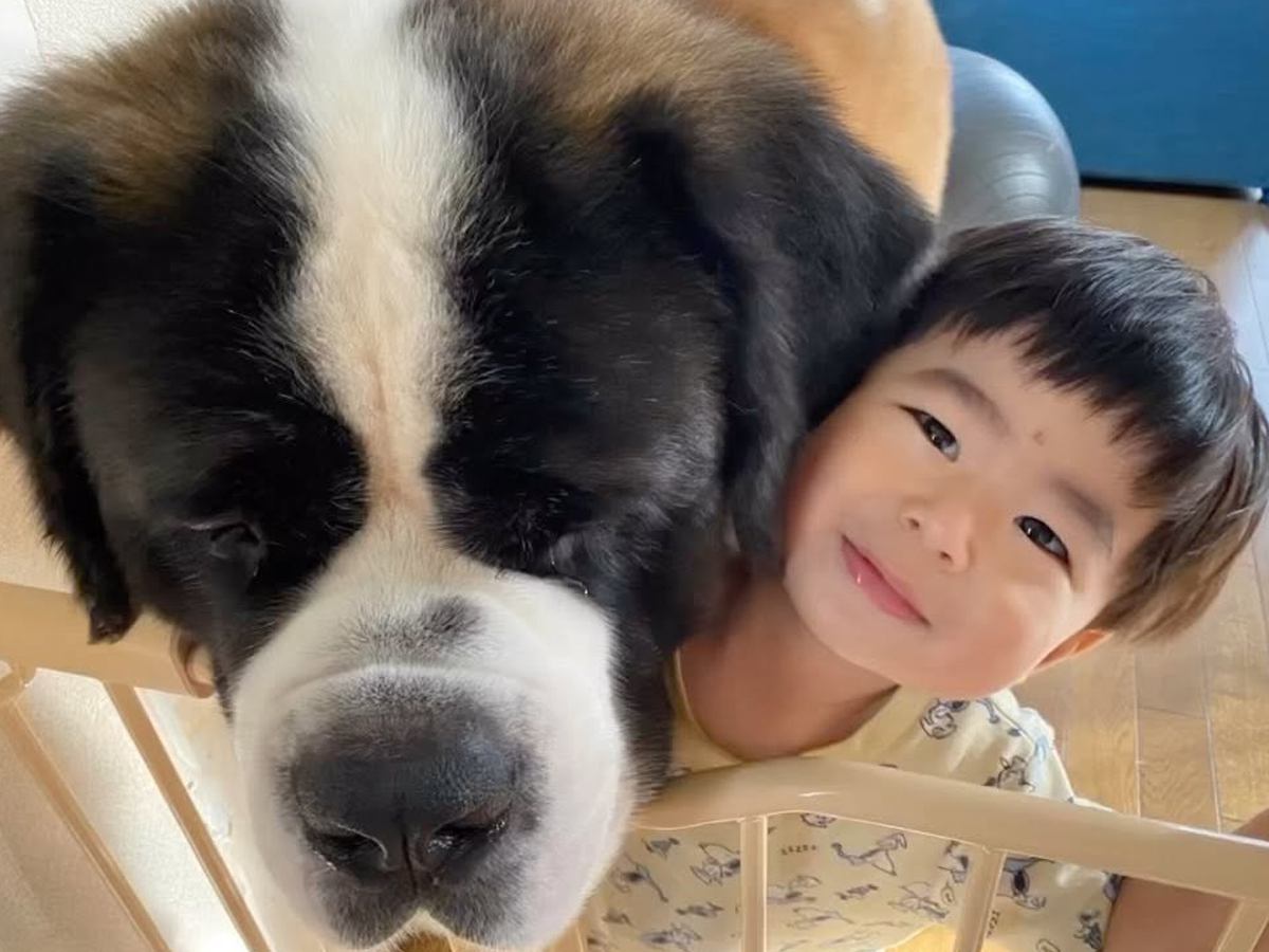 いつも一緒にいた大型犬が『天国へ旅立った日』→小さい男の子が朝４時に起きてきて…涙があふれて止まらない『最後の日の様子』に反響