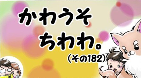 かわうそちわわ。【その182】「毎日30分はやります。」