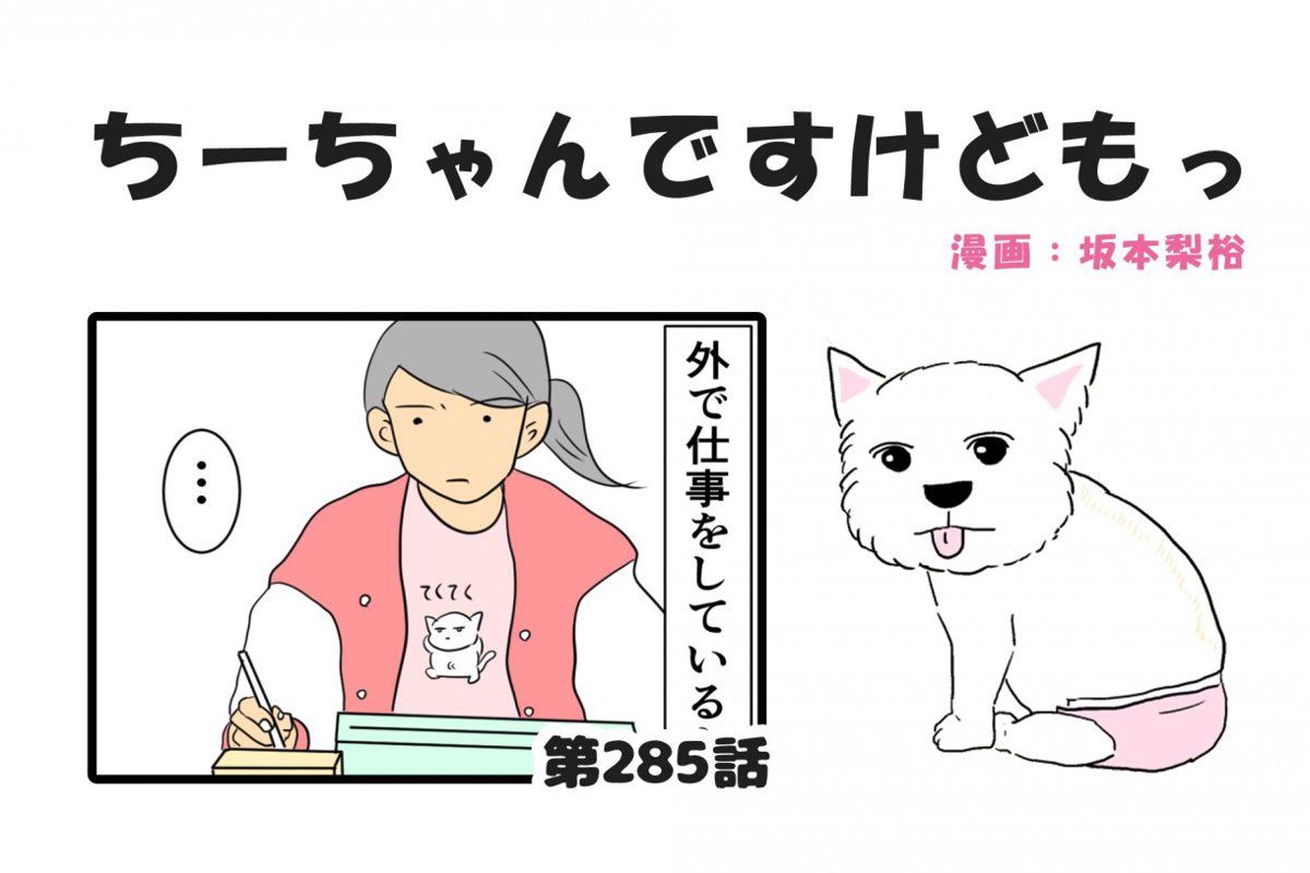 ちーちゃんですけどもっ【第285話】「シニア犬の見守り」