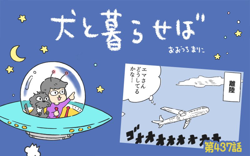 犬と暮らせば【第437話】「飼い主失格？」