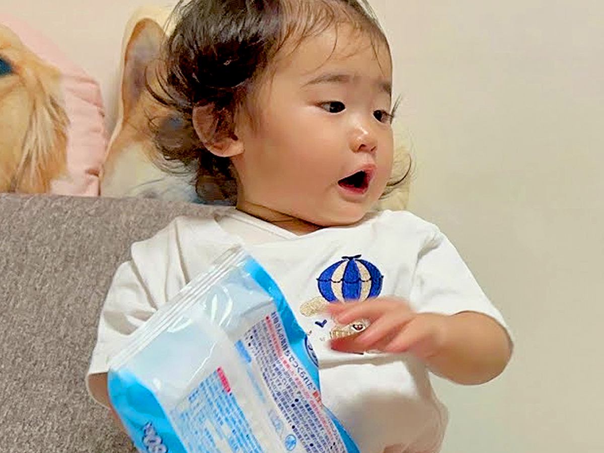 1歳の女の子が『犬のお掃除ごっこ』をした結果→思った以上に拭きまくり…あまりにも優しい『神対応』が40万再生「本当に優しい」「えらい子」