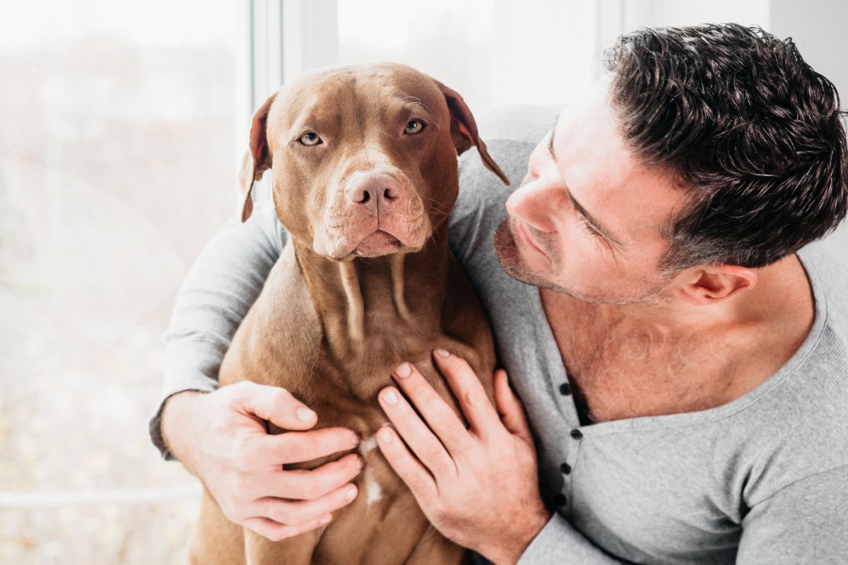 犬への虐待にあたる「絶対NG行為」3選　良かれと思っていることが間違っているかも