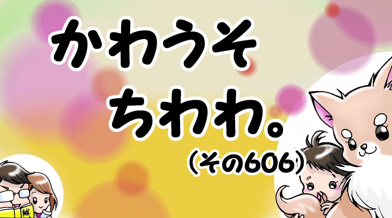 【最終話】かわうそちわわ。【その606】「虹の橋のたもと」