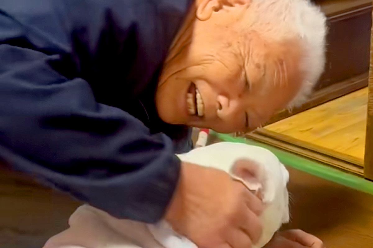犬を溺愛しているおじいちゃんに『可愛い？』と問いかけてみたら…本当の孫のように『愛を語る光景』が87万再生「ドヤ顔可愛いｗ」「癒される」