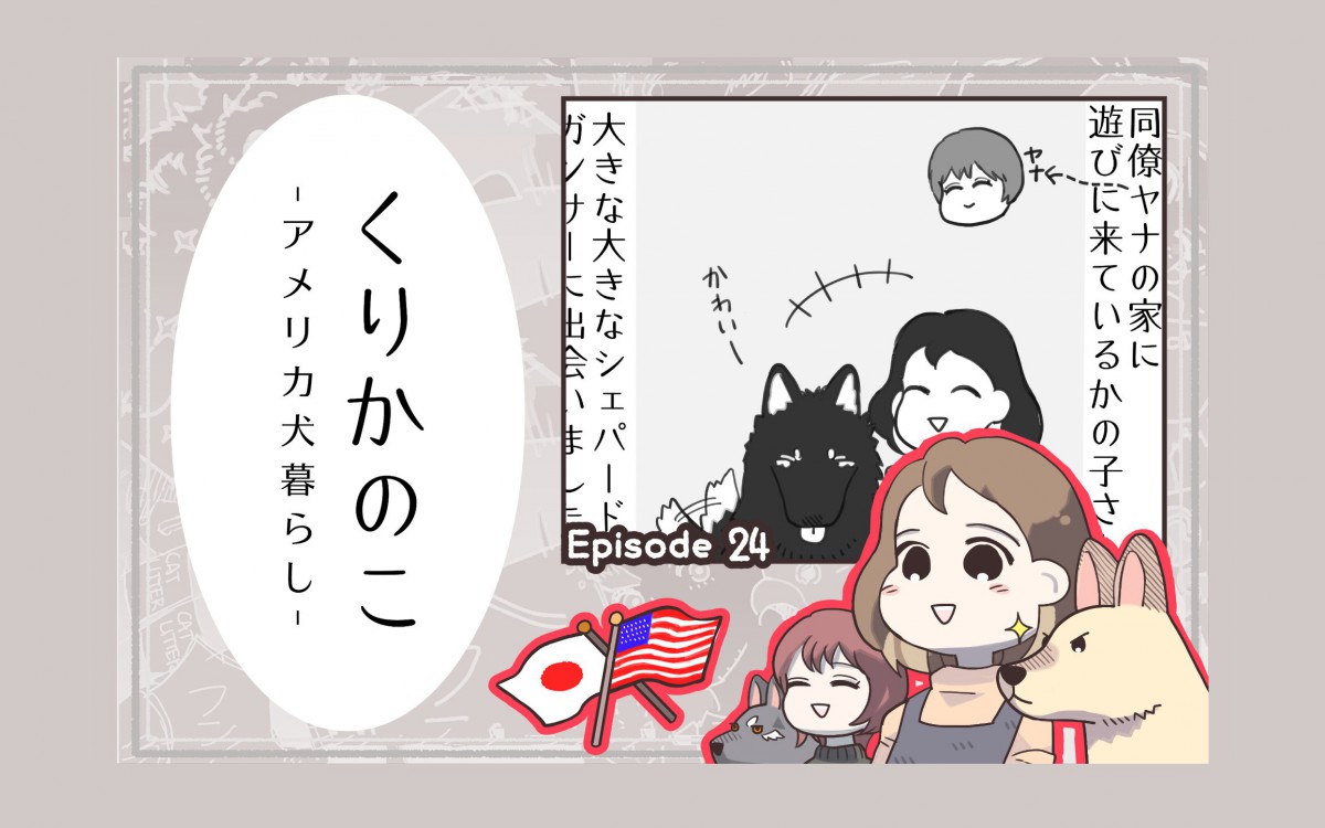 くりかのこ　アメリカ犬暮らし【第24話】「シェパは楽しい」