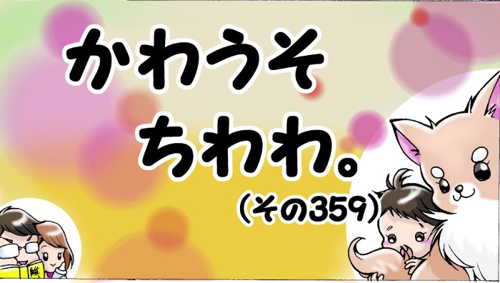 かわうそちわわ。【その359】「脂肪でフカフカ」