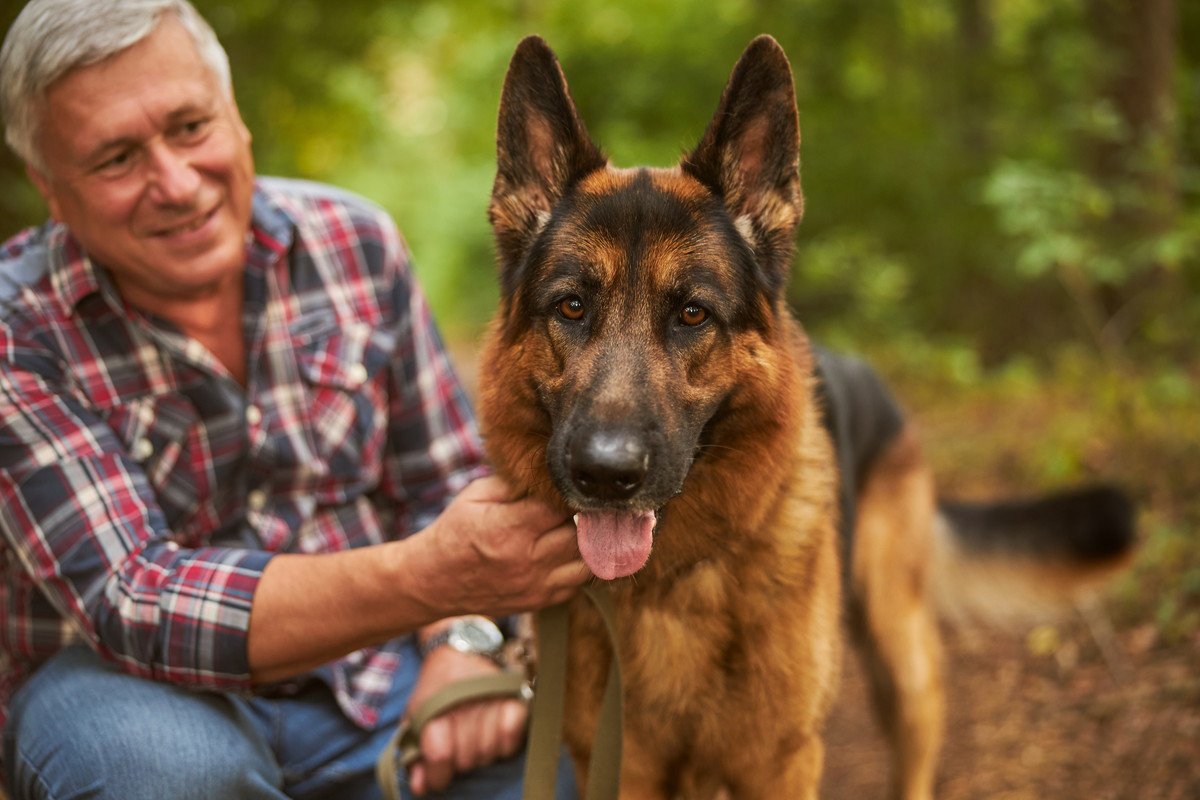 『賢い犬種』ランキングトップ５　知能が高い犬を迎える注意点やしつけのポイントまで