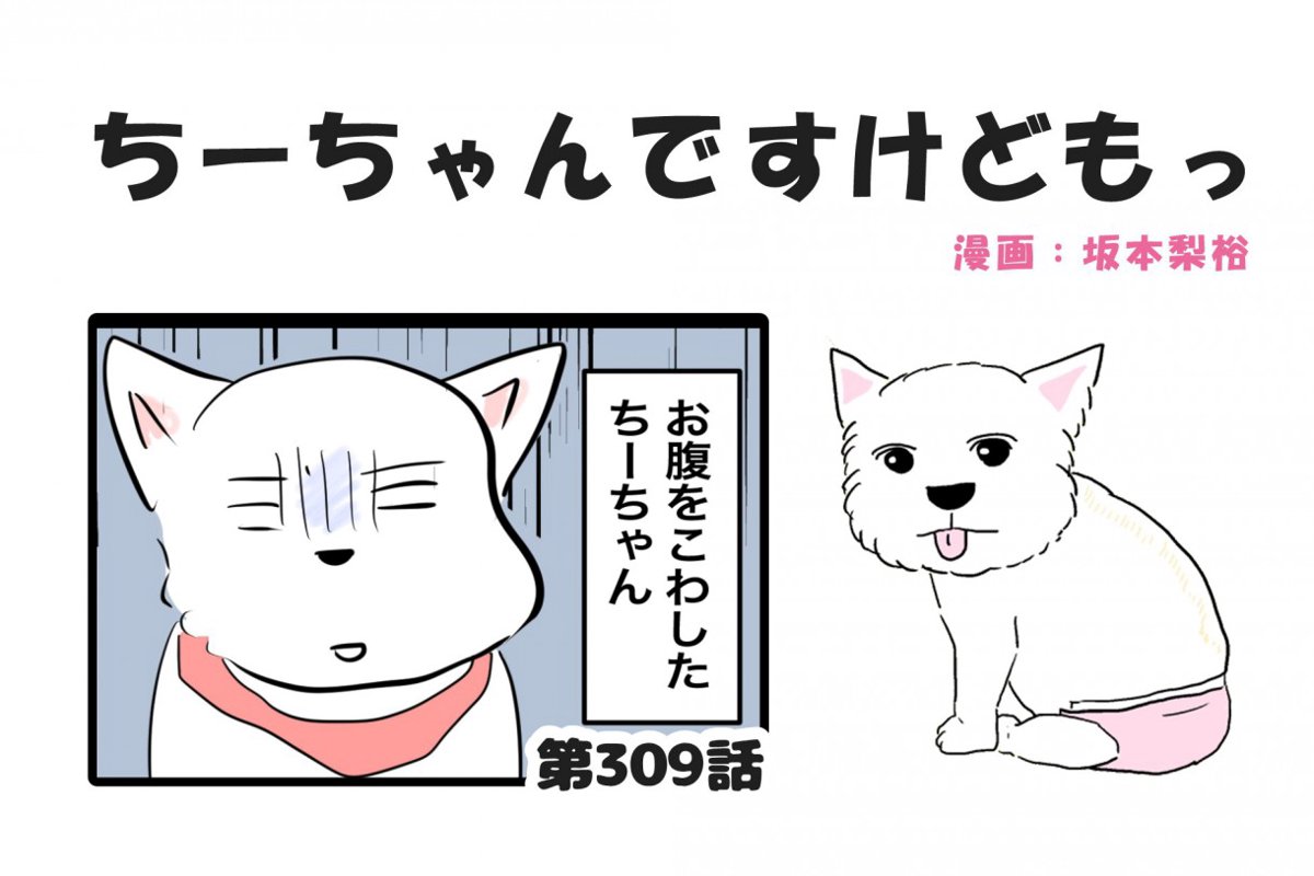  ちーちゃんですけどもっ【第309話】「ちーちゃんお腹くだしたお話①」