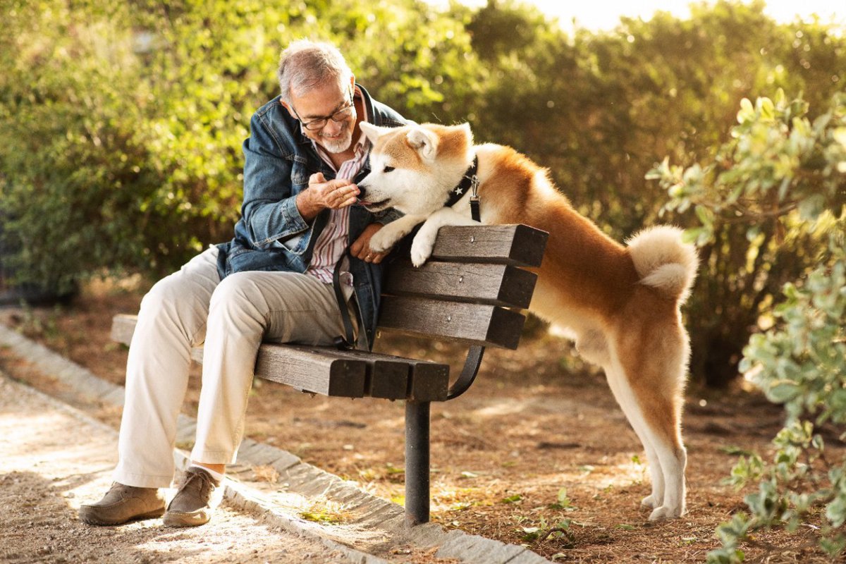 『飼うのが難しすぎる犬種』5選　大変と言われている理由に「言われてみればそうかも」「我が家も苦労した」