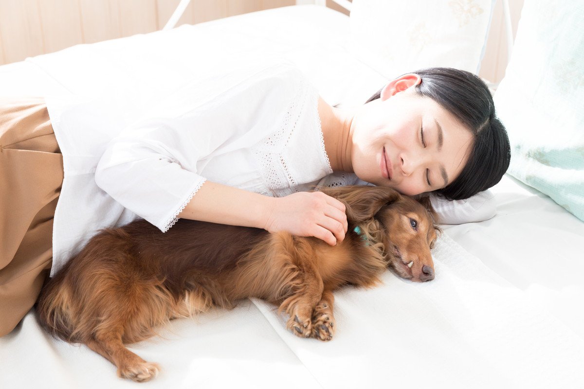 犬が『飼い主のそばで眠る』心理４選　近づいて寝たがるワケや正しい対応の仕方まで解説